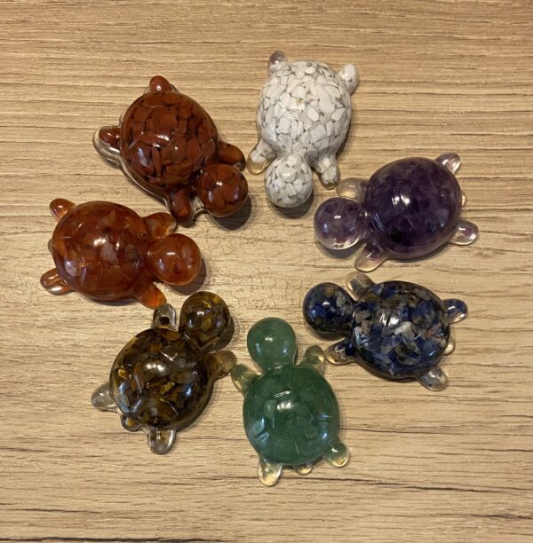 Petite Tortue
