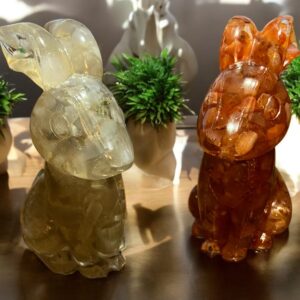 Lapin