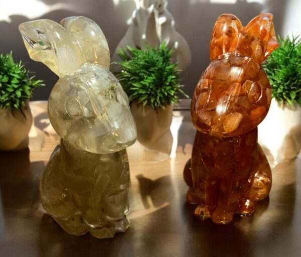 Lapin