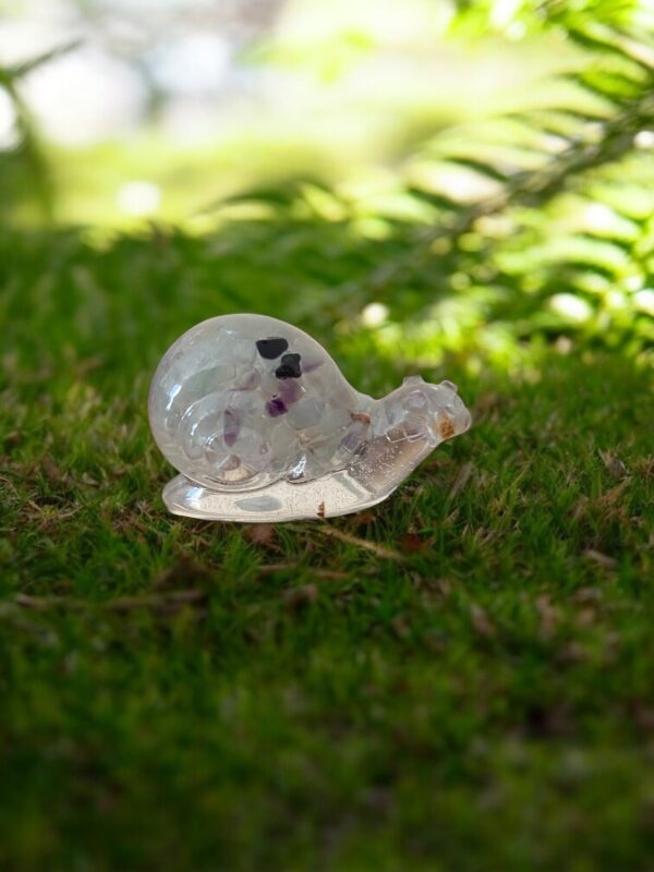 Petit escargot