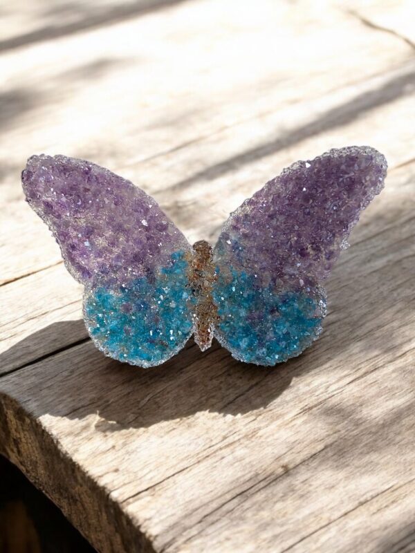 Papillon