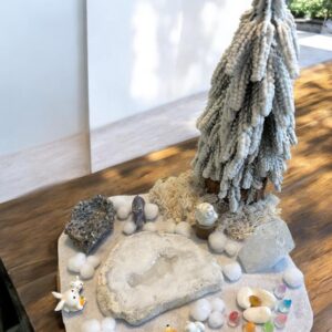 Ptit monde de l'hiver